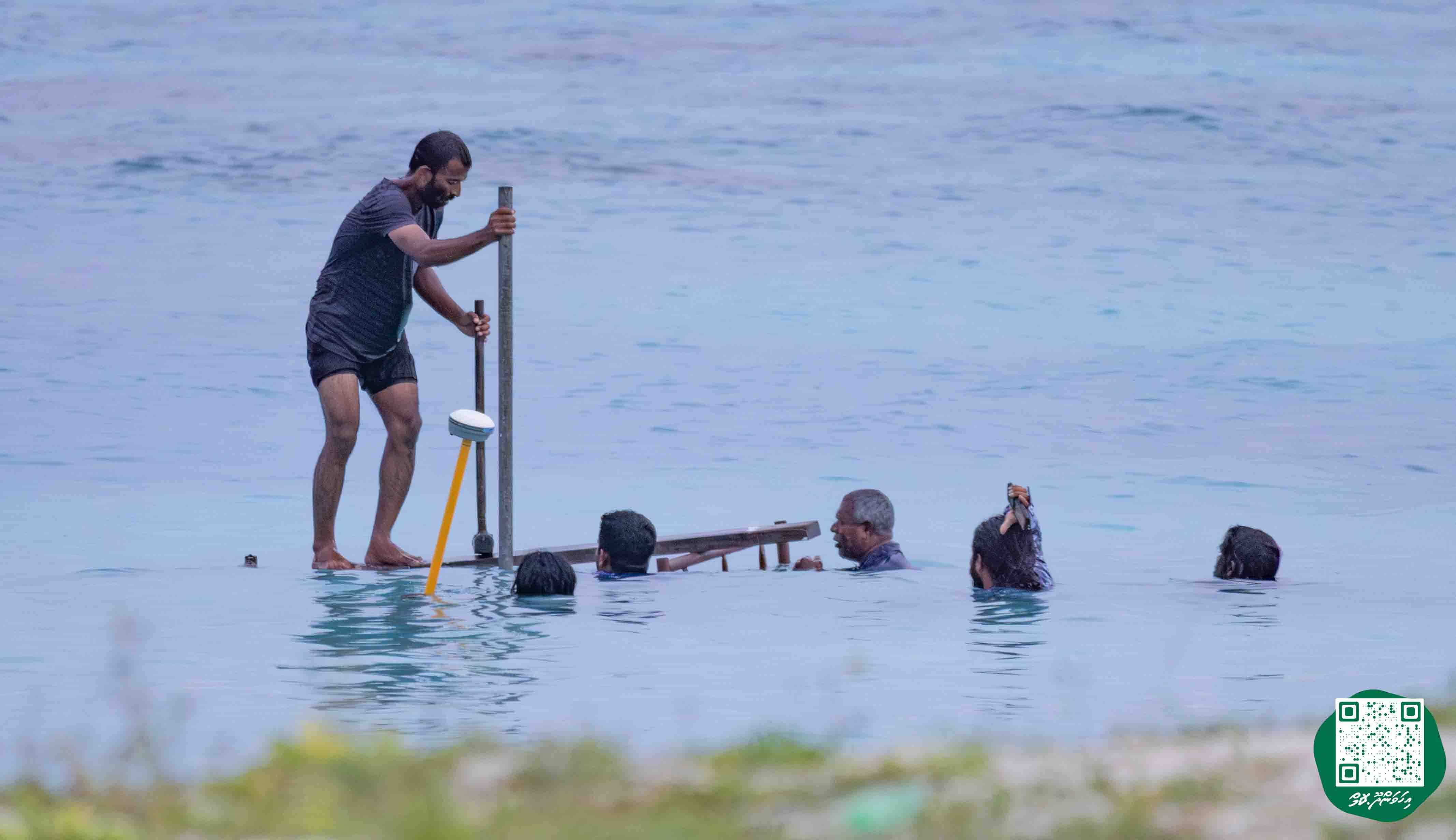 ފިޝް ކަލެކްޝަން ފެސިލިޓީ ބަނދަރަށް ބޭނުންވާ ޝީޓްޕައިލް ގެނެސްފި